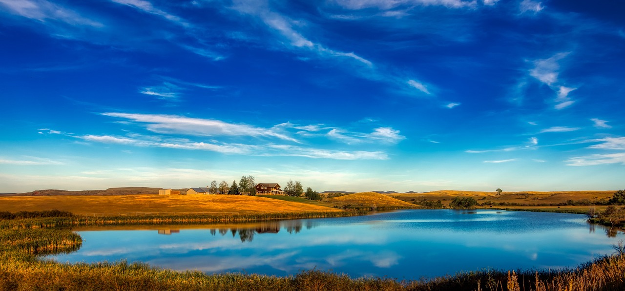 2025年3月 第46頁