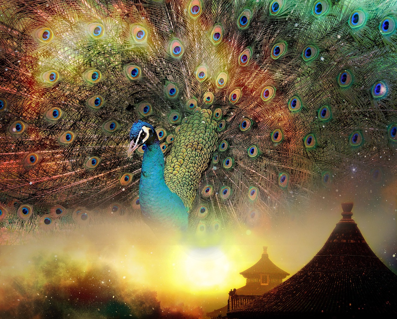 亞洲精選內容在線，數(shù)字時代文化魅力的探索之旅