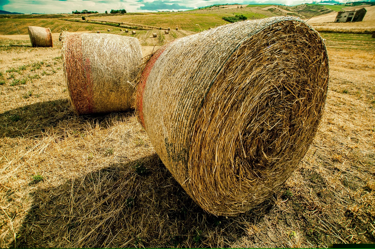 果兒秀場引領(lǐng)時尚新潮流，舞臺變革展現(xiàn)最新動態(tài)