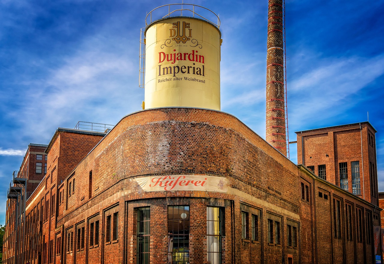 官方獸醫(yī)改革動(dòng)態(tài)，探索新時(shí)代行業(yè)變革與進(jìn)步之路