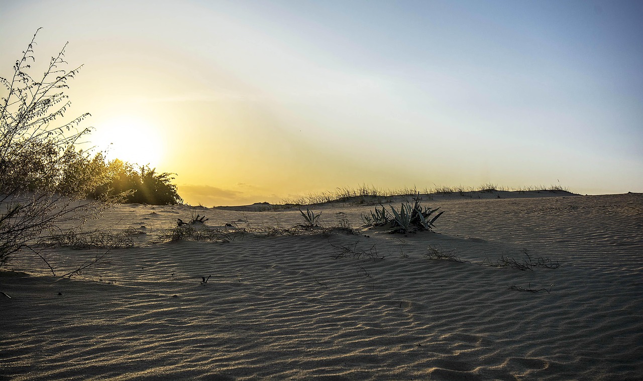 濟南疫情防控最新動態(tài)，城市管理與防控措施調整更新