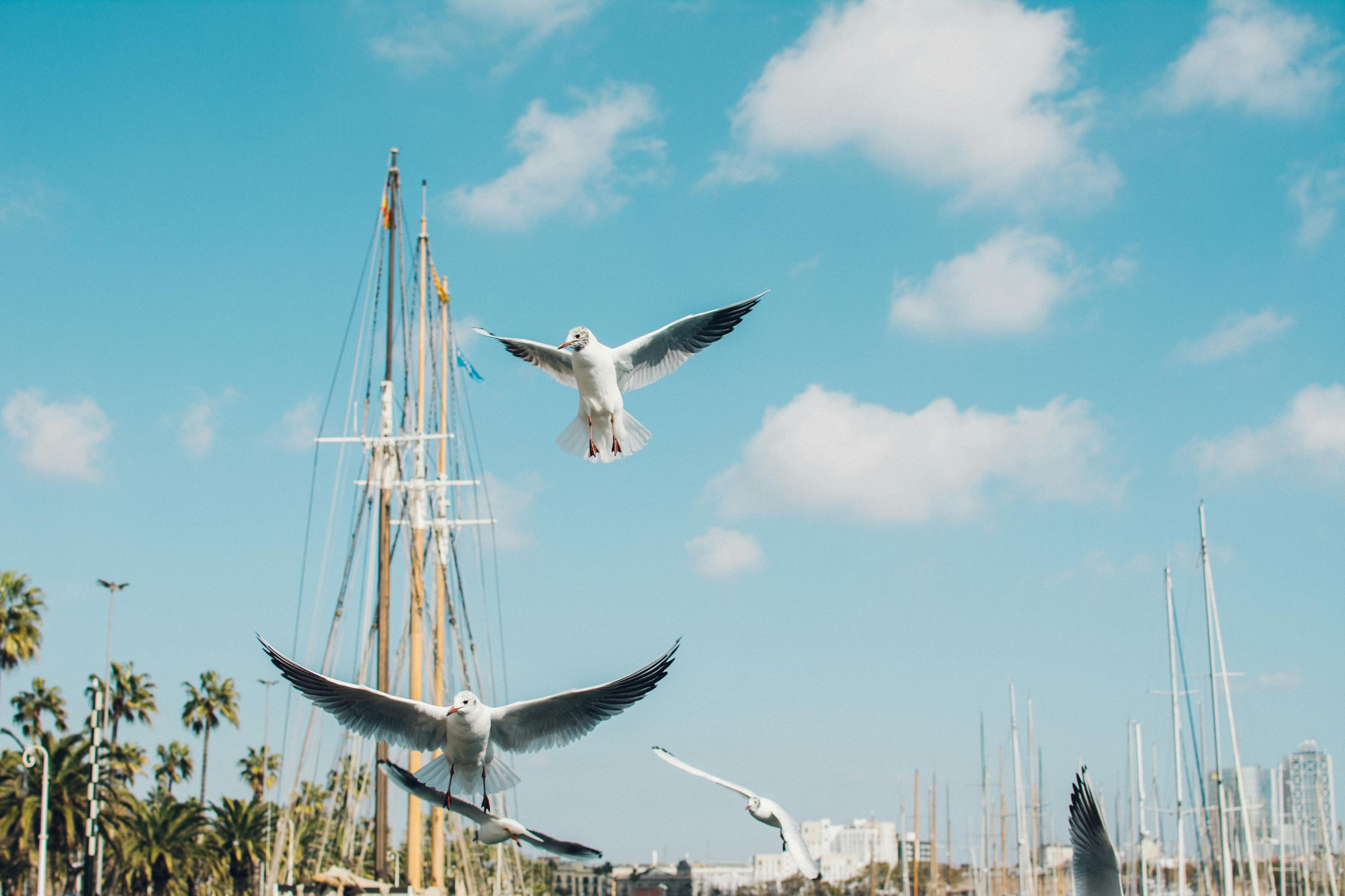 釣魚比賽時(shí)間，一場(chǎng)激動(dòng)人心的角逐盛宴開啟