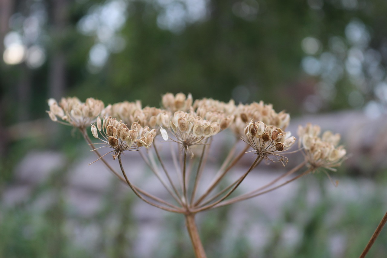 中國煤炭價格動態(tài)資訊深度解析與趨勢預測