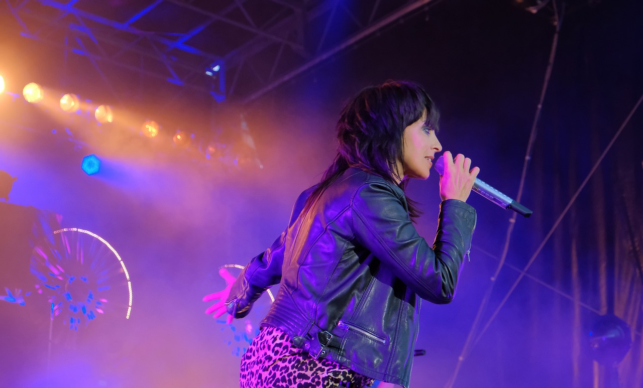 最新扇子舞紅梅贊魅力展現(xiàn)，精彩演繹的魅力之旅