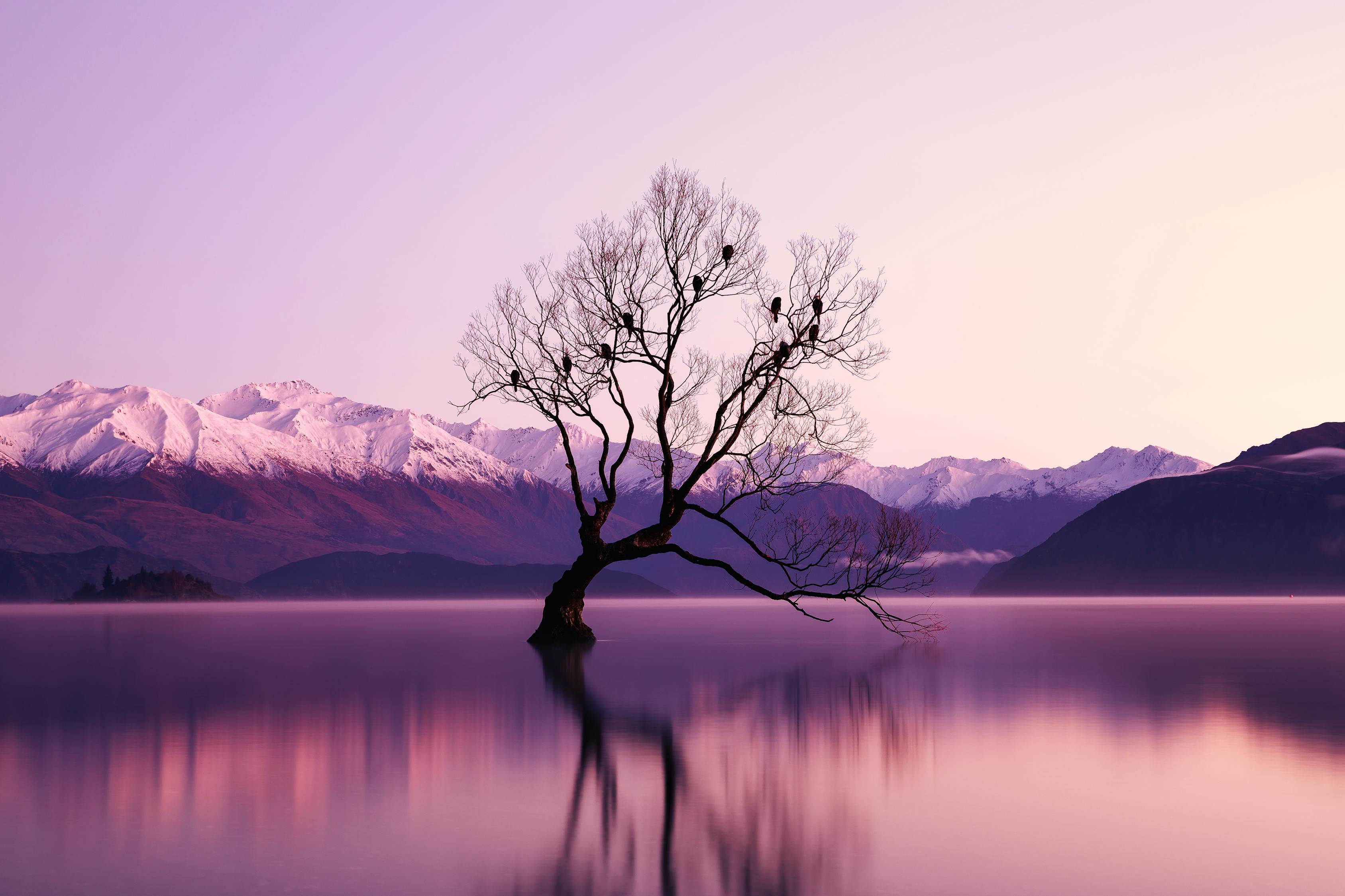順流逆流電影，人生起伏與命運波瀾的探索