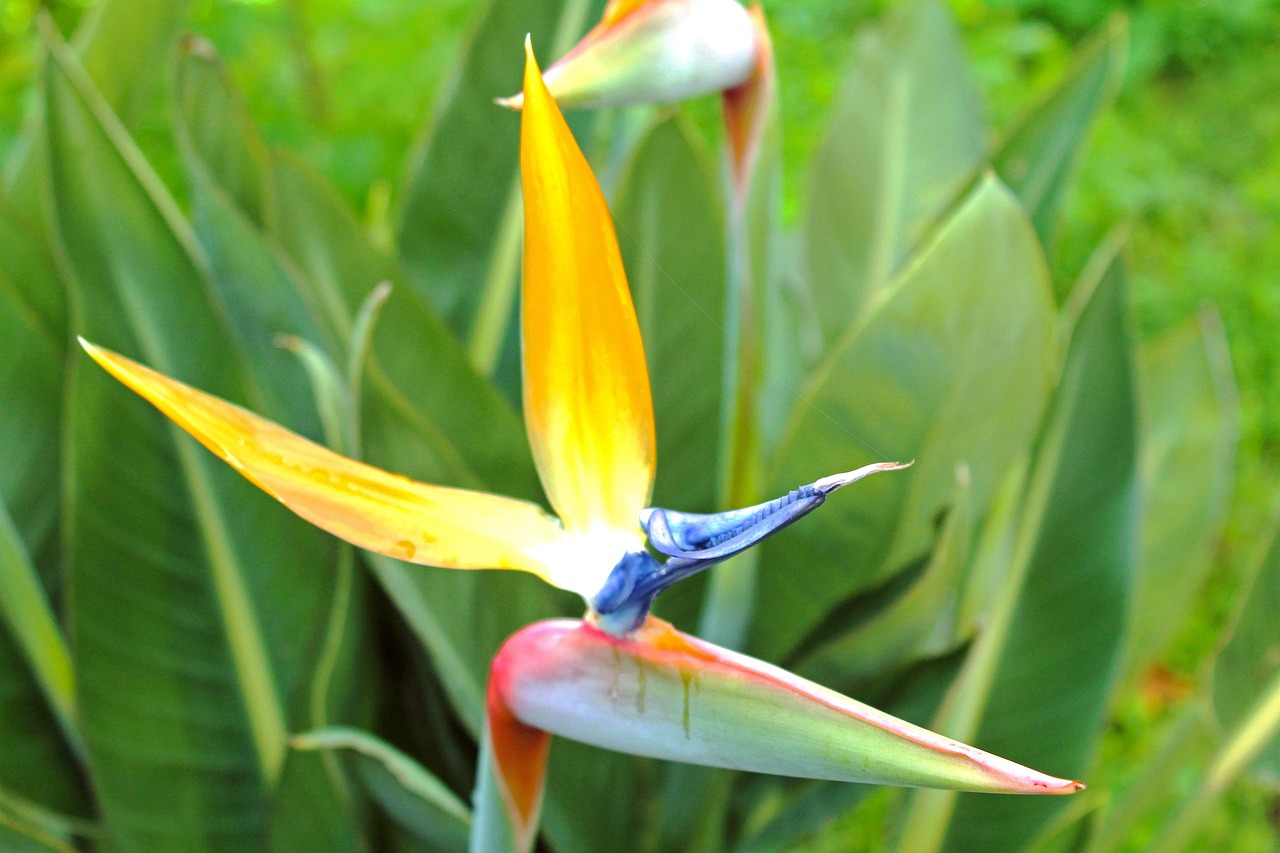 石墨電極最新報價與市場動態(tài)分析概覽