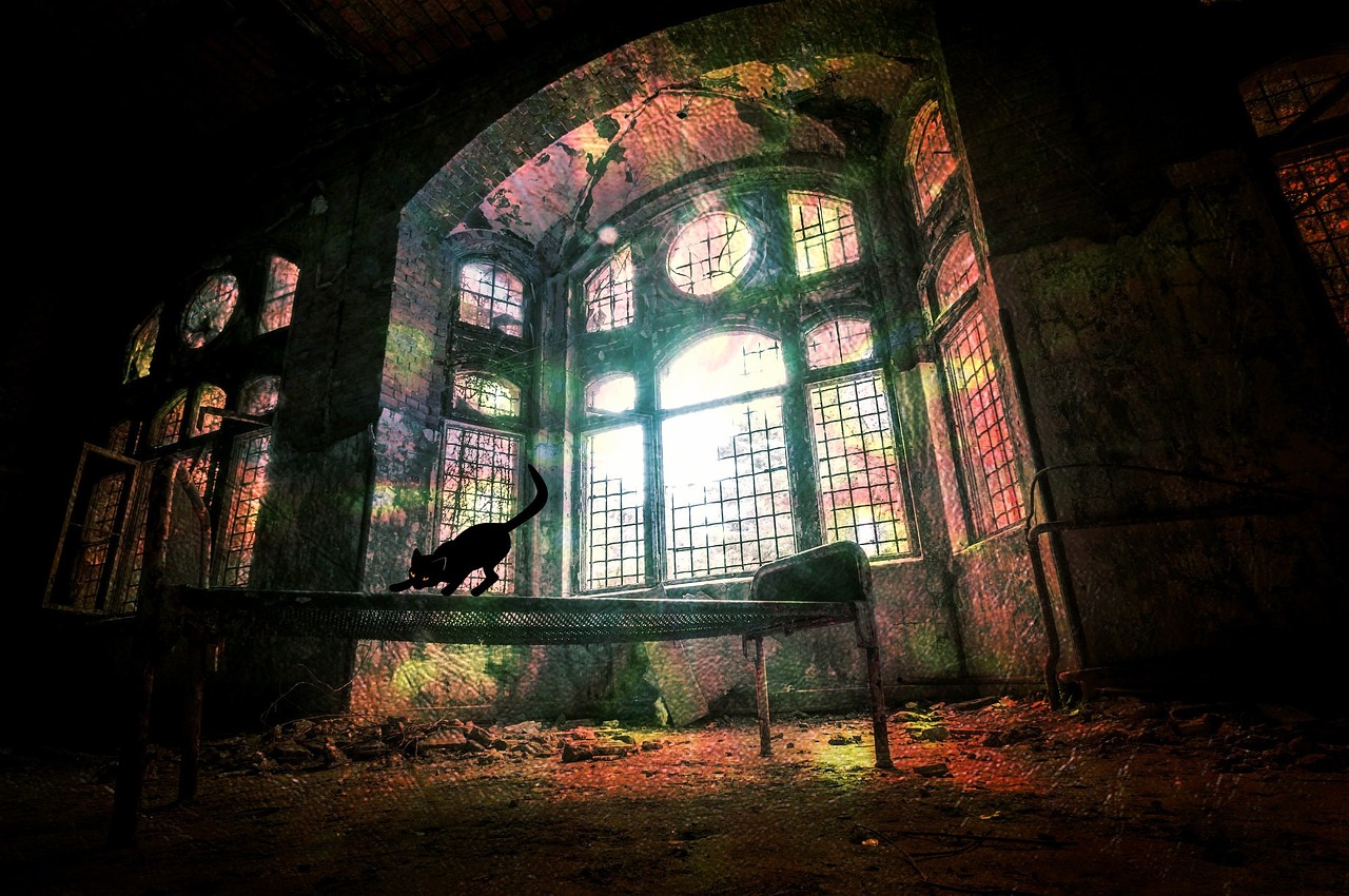 尋龍契約揭開奇幻冒險世界的神秘面紗