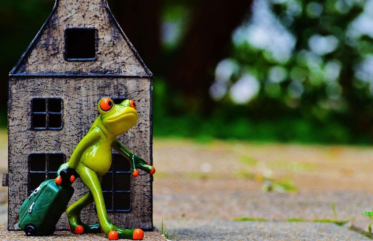 泡泡龍新版本，探索未知的游戲世界之旅