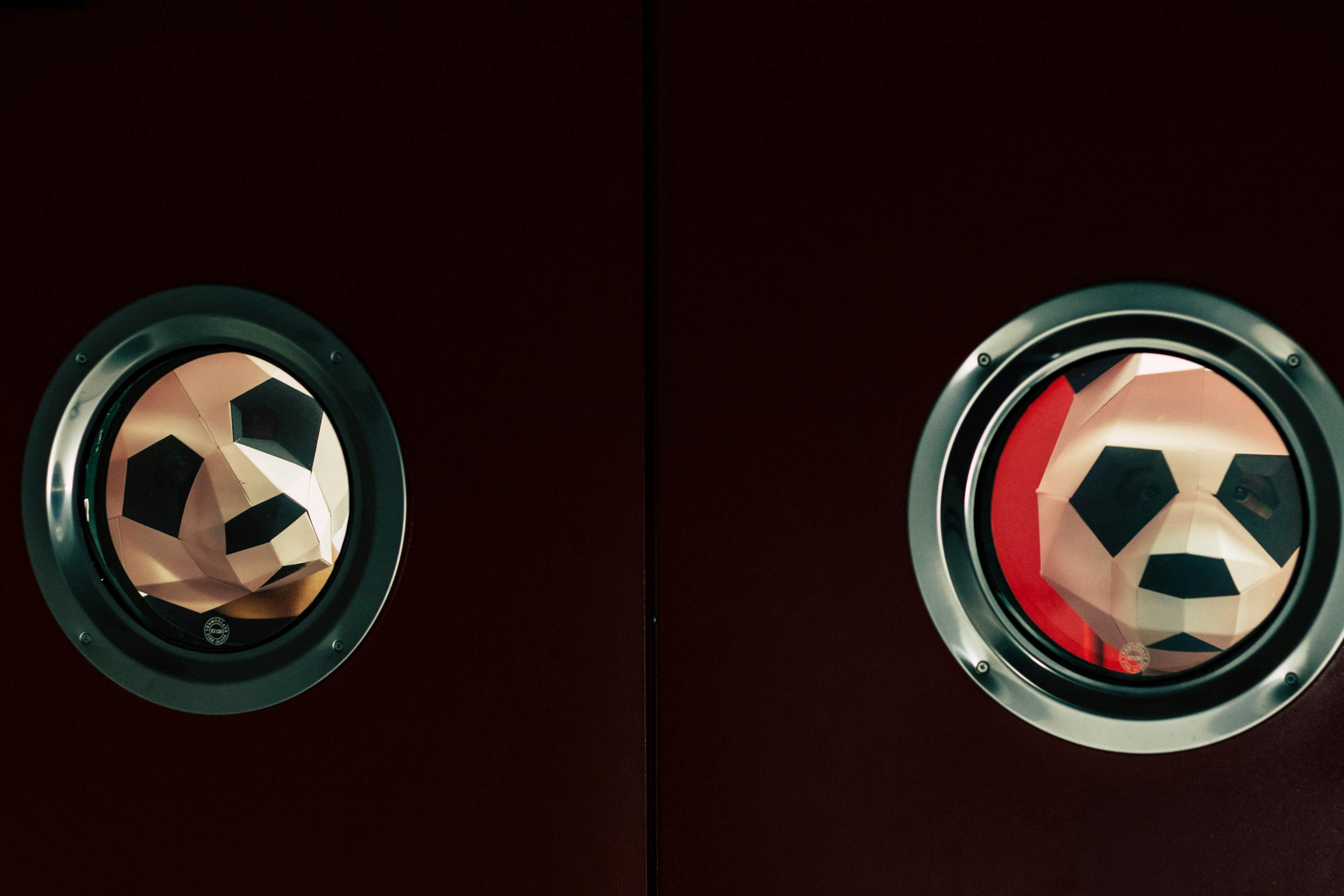 利特姜素拉最新資訊，探索前沿動態(tài)，聚焦矚目焦點