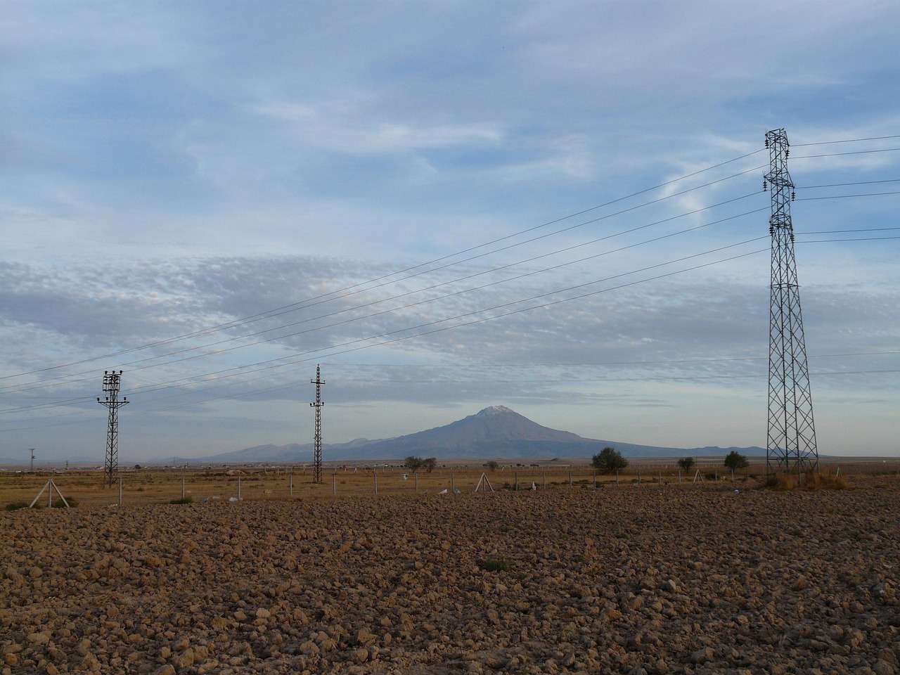 朱正延的最新動態(tài)與成就概覽