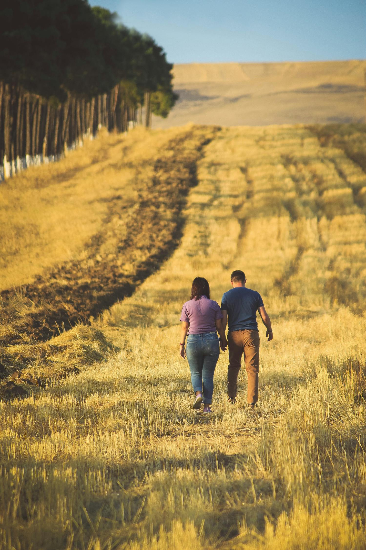 田沖倒插門，電視劇中的故事與人生啟示