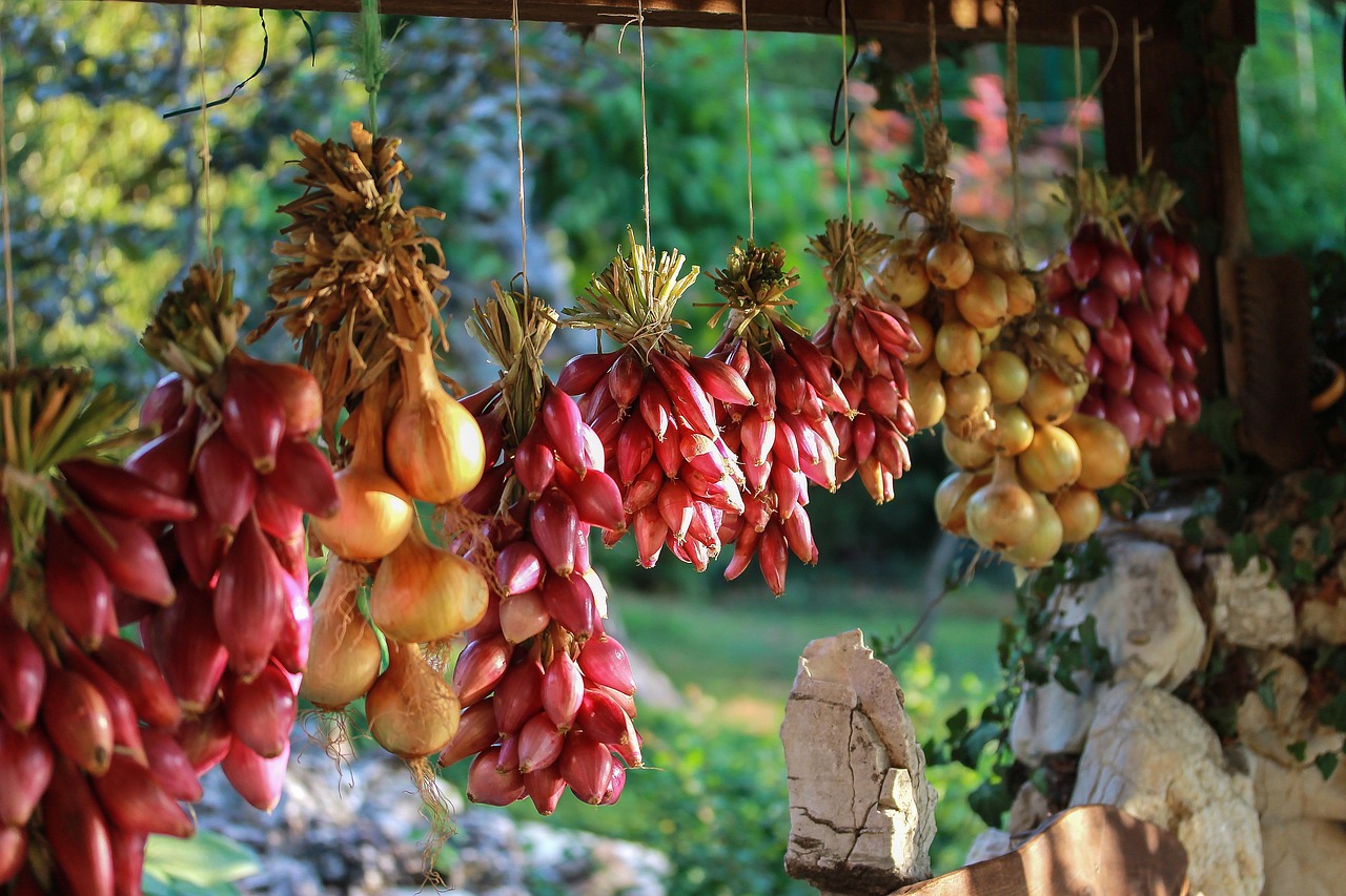 電視劇花開山鄉(xiāng)，鄉(xiāng)土之美與現(xiàn)代魅力的完美融合