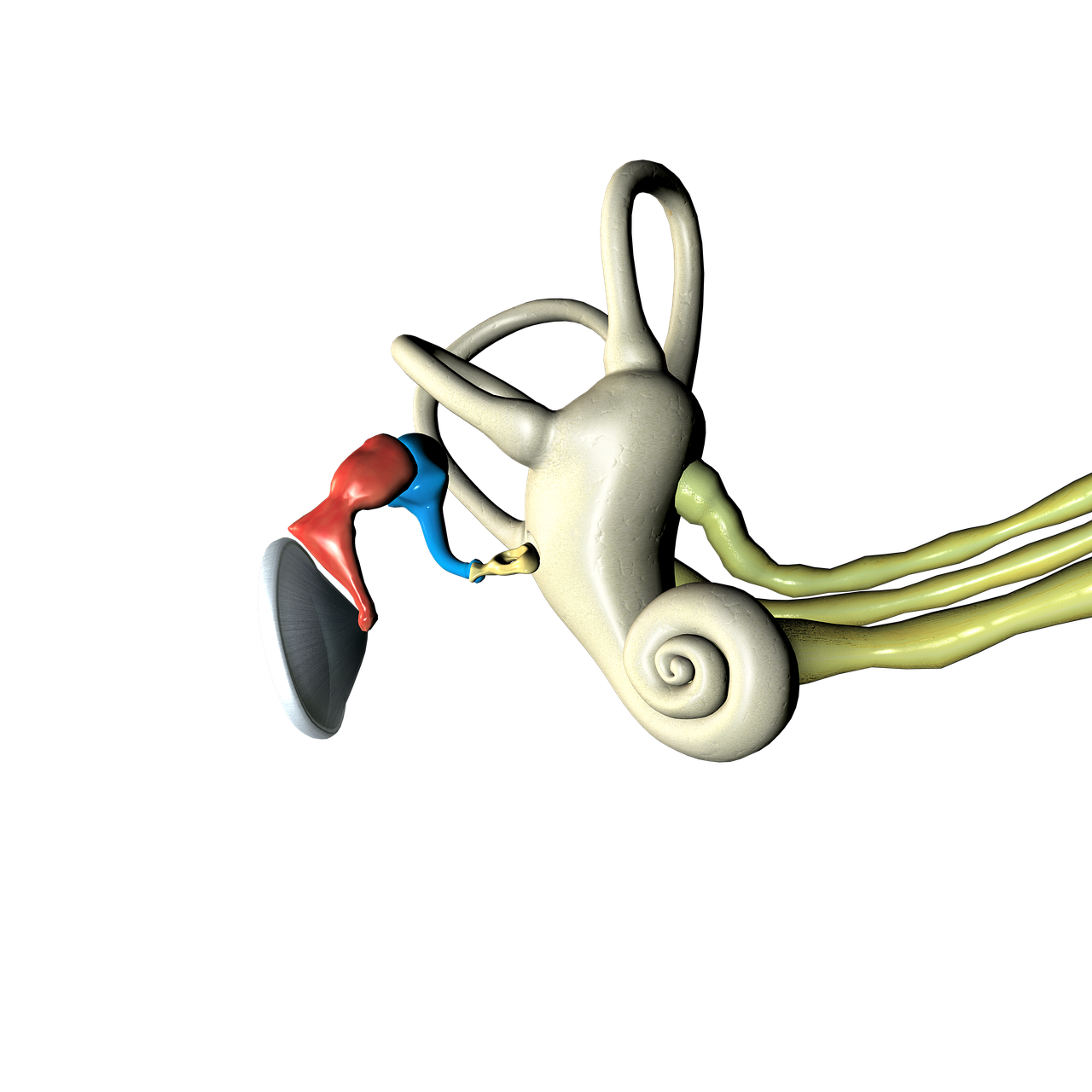 海獸祭司策略選擇背后的原因與考量，為何不上正規(guī)比賽？