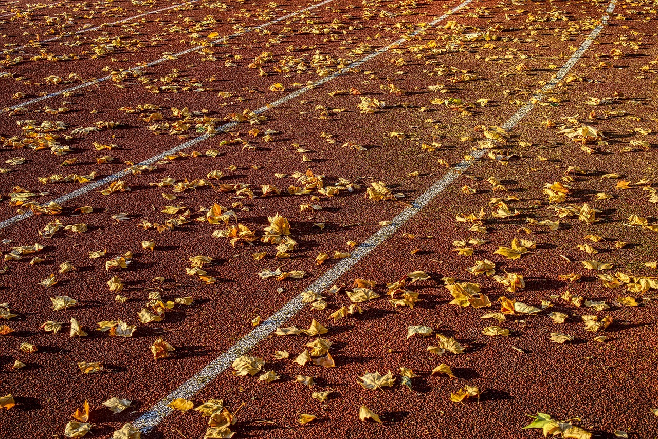 2025年5月 第166頁