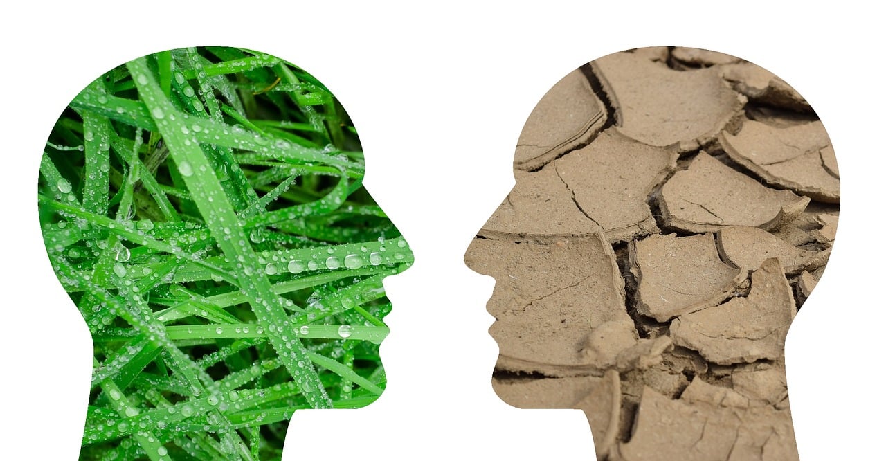 全球氣候變化下的最新溫度分布狀況研究，微觀視角的探討