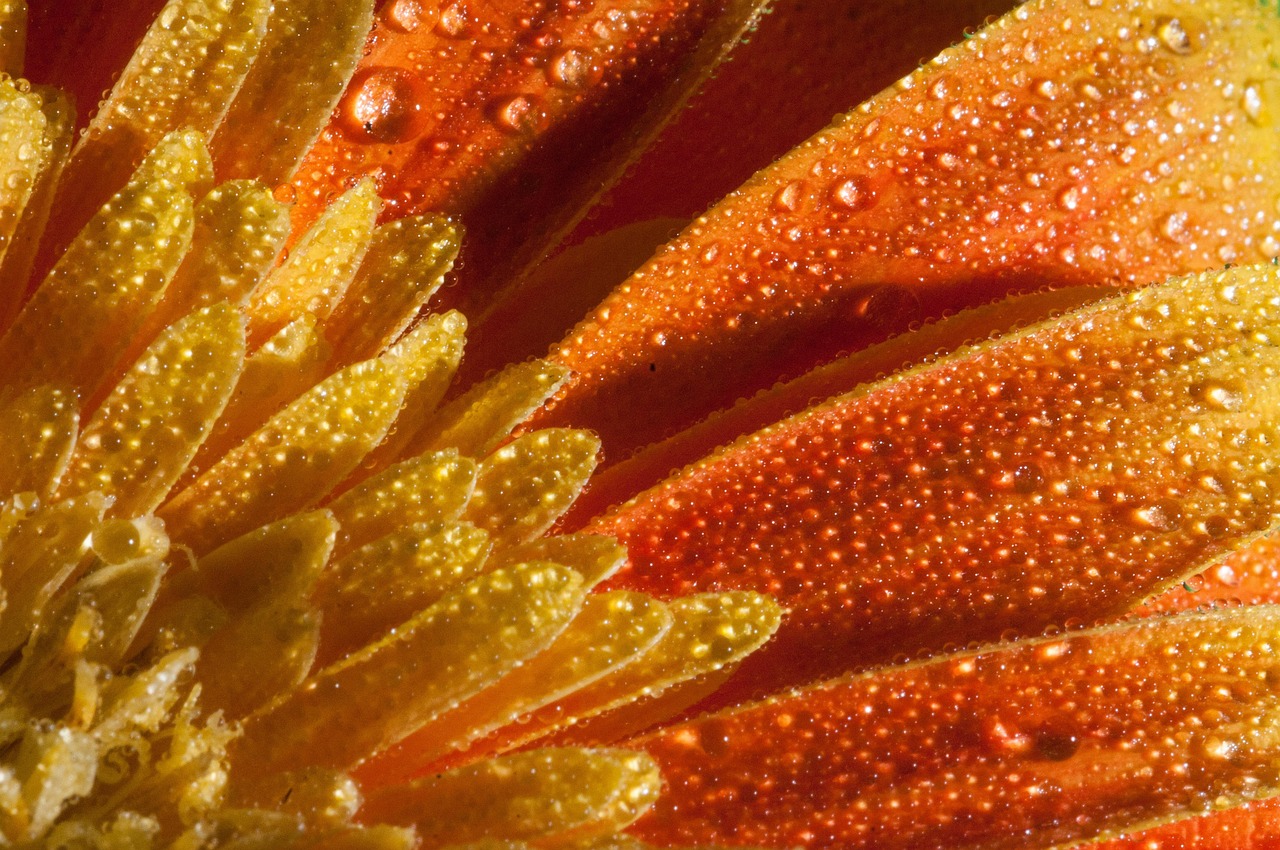 湖南最新疾病動態(tài)概覽