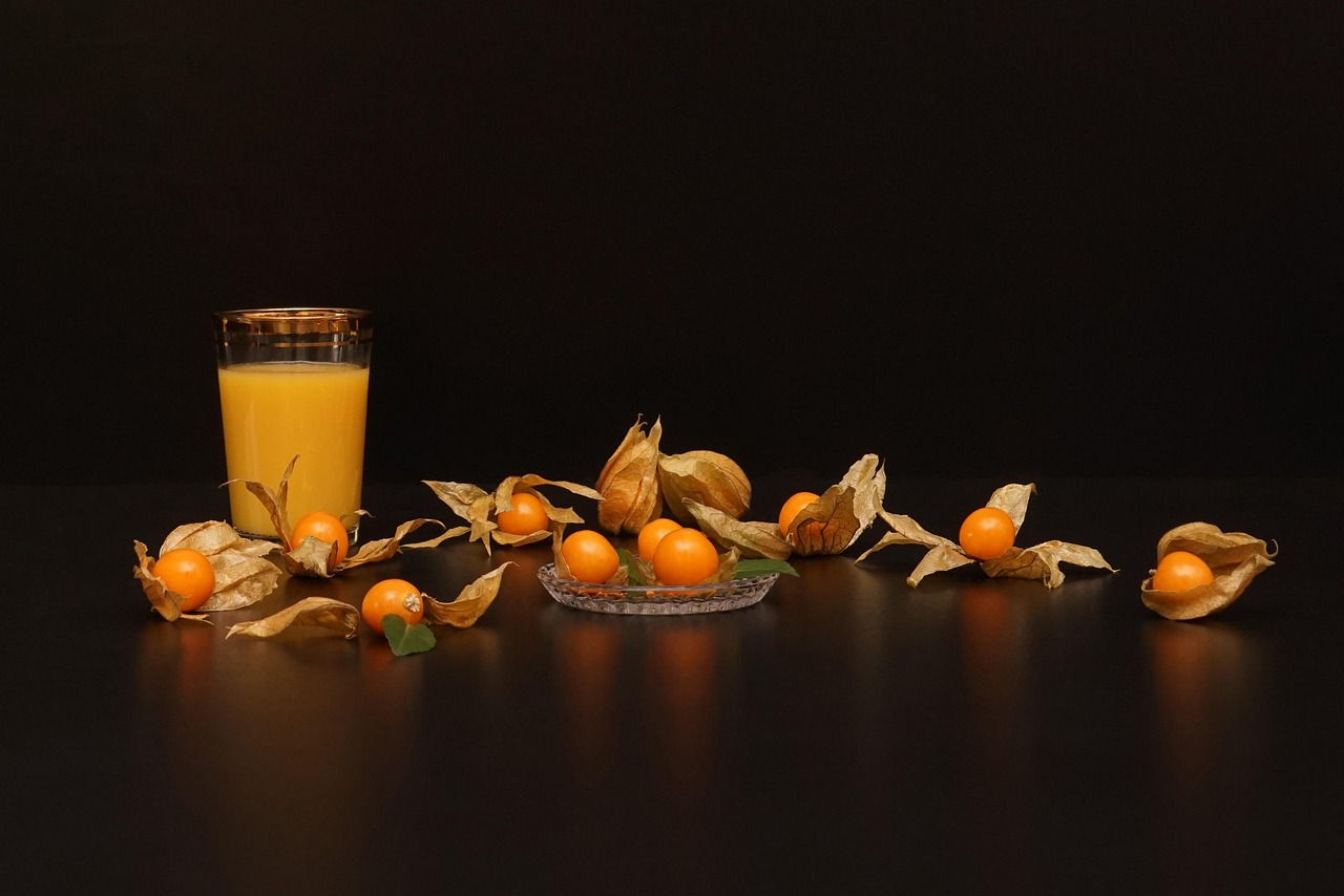 遼陽襄平藍(lán)庭最新動態(tài)，未來生活嶄新篇章揭曉