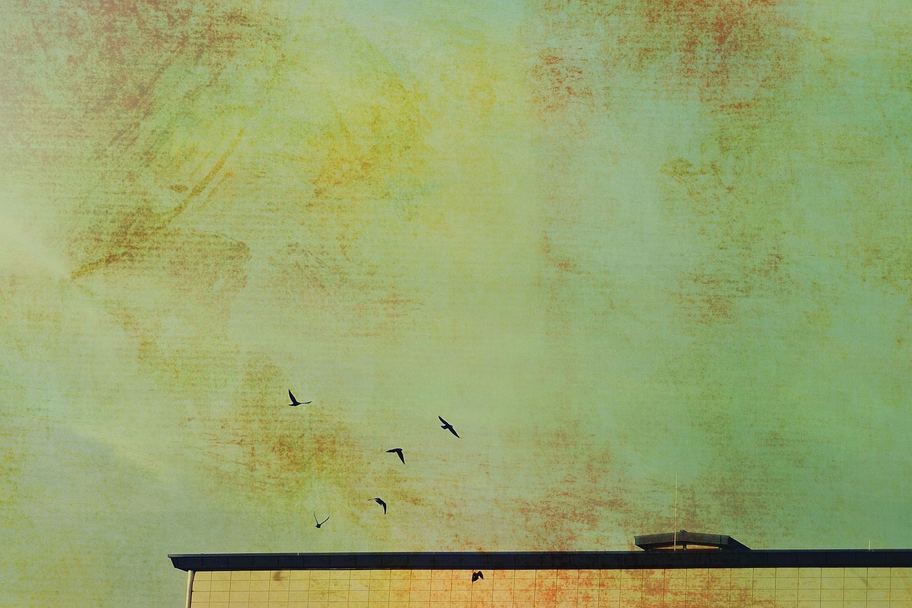 聽(tīng)風(fēng)入韻 第3頁(yè)