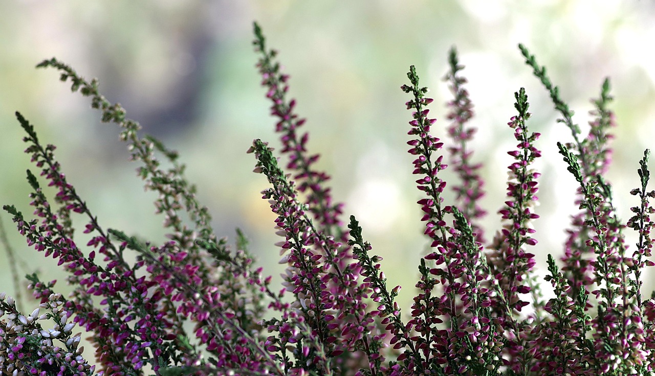 高平溝底煤礦最新進展與動態(tài)更新