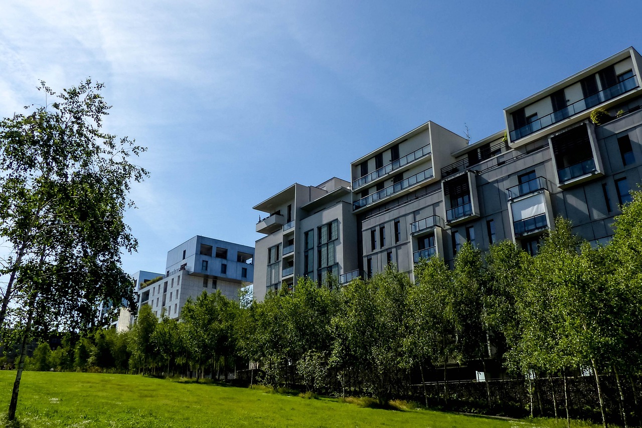 北菜園改造進(jìn)展，重塑綠色生態(tài)，打造宜居社區(qū)新面貌