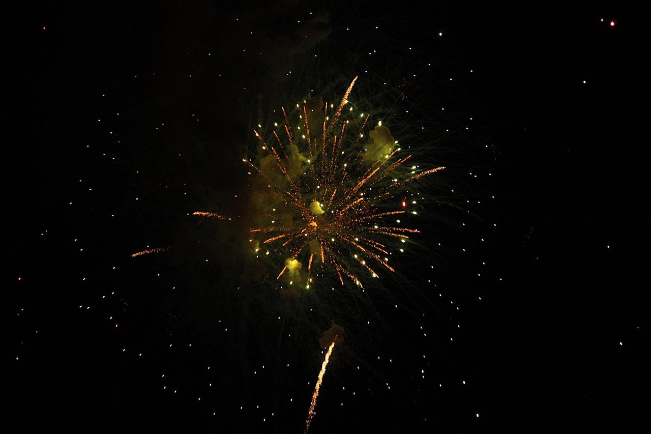 玉林美國(guó)城最新動(dòng)態(tài)，繁榮發(fā)展的藍(lán)圖與未來(lái)展望展望