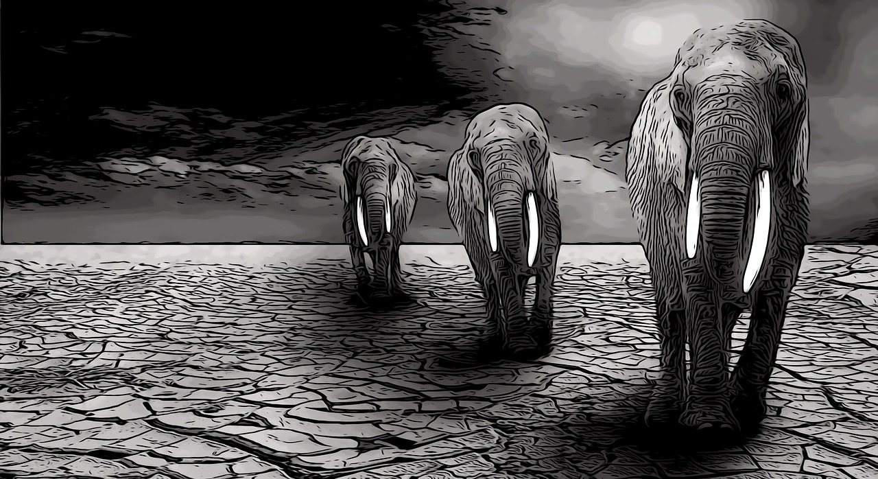 太古龍象訣最新章節(jié)，奇幻之旅探尋神秘世界