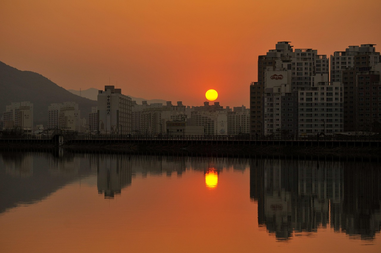 陜西洋縣最新資訊概覽，最新資訊一網(wǎng)打盡