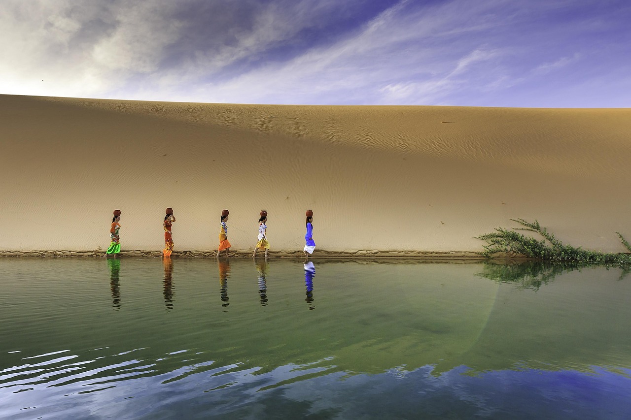 黃電視，獨特的文化現(xiàn)象與視覺盛宴