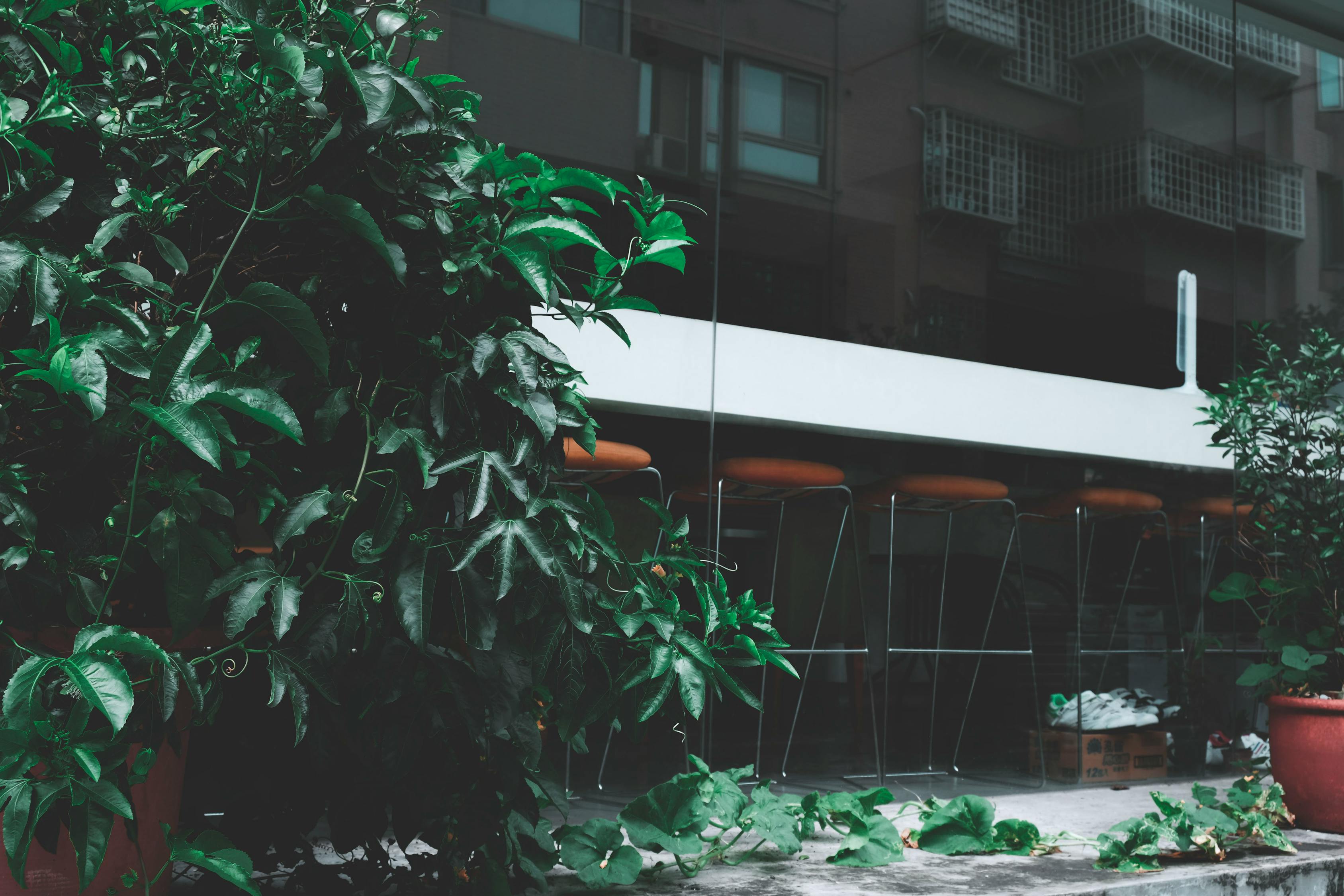 涿州拒馬河規(guī)劃重塑生態(tài)景觀，打造宜居城市新名片