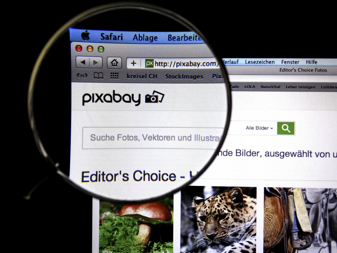 最新活動(dòng)策劃，打造獨(dú)特活動(dòng)體驗(yàn)的核心要素揭秘！