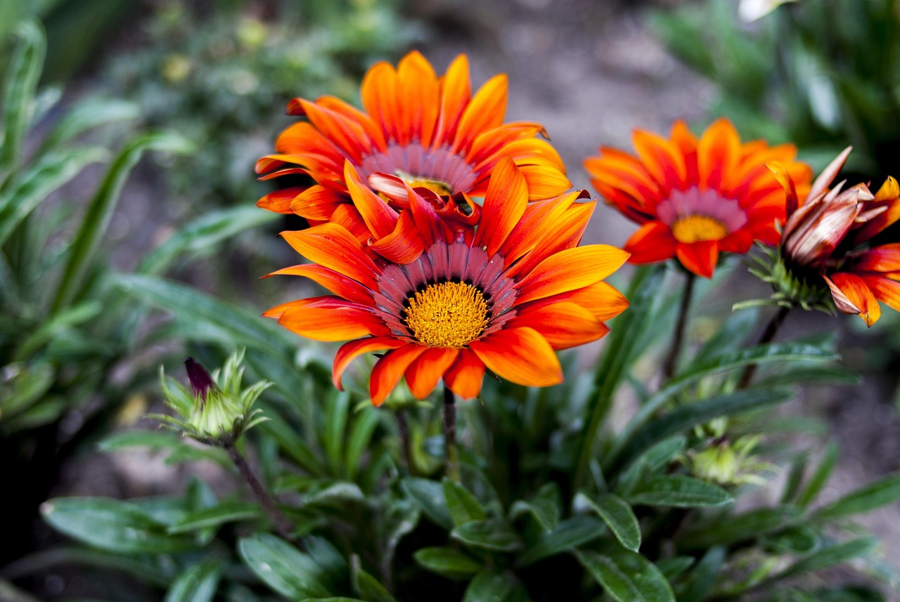 運(yùn)城空港工廠招聘信息詳解及最新動(dòng)態(tài)更新