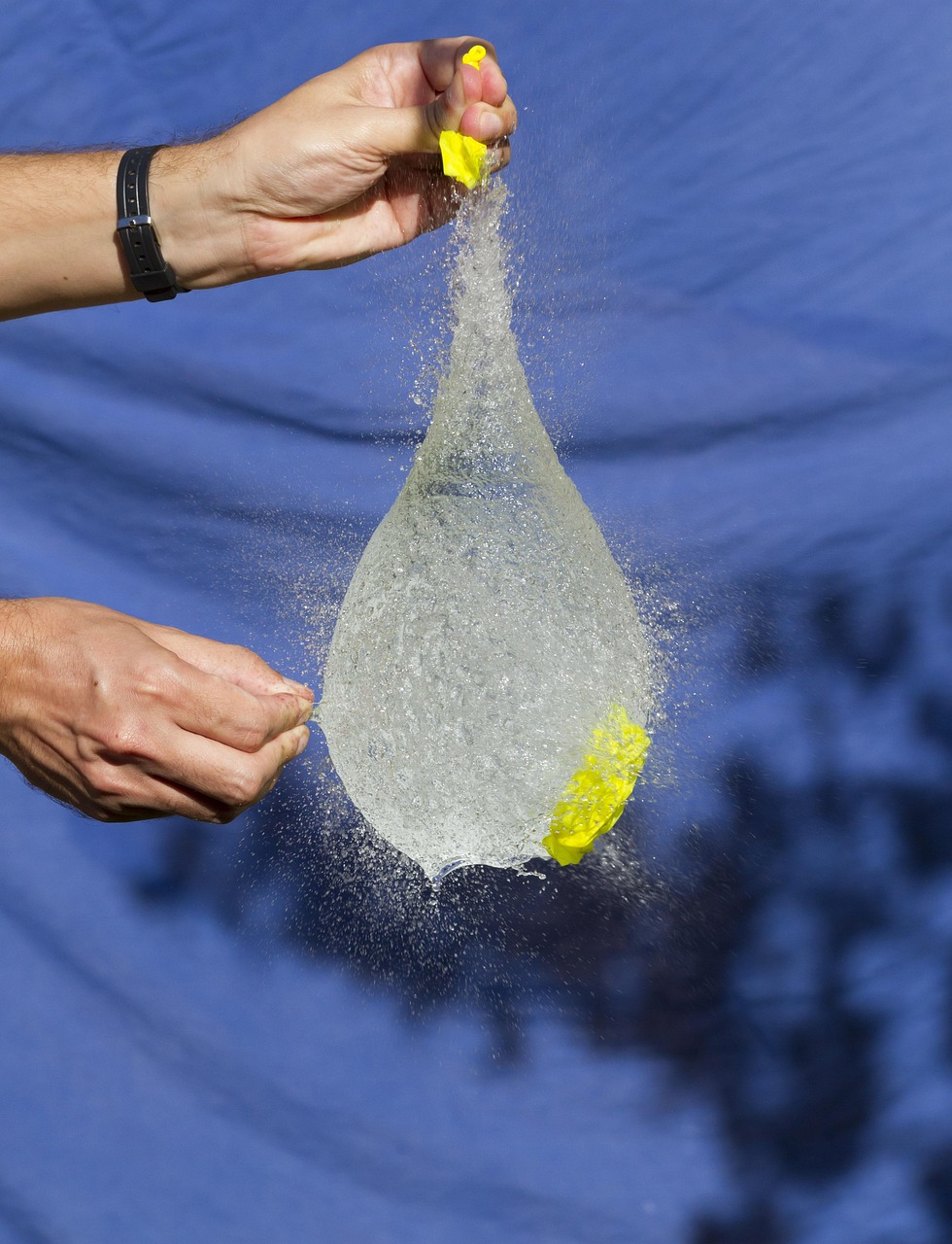 魔芋價格走勢，市場動態(tài)、影響因素與未來趨勢分析