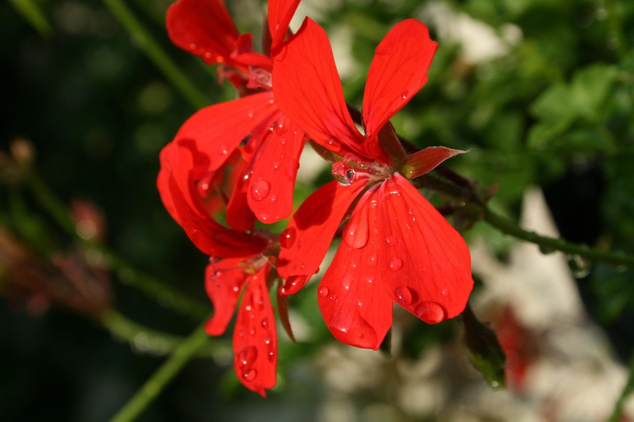 歐尼新動態(tài)，引領(lǐng)時尚潮流的前沿力量