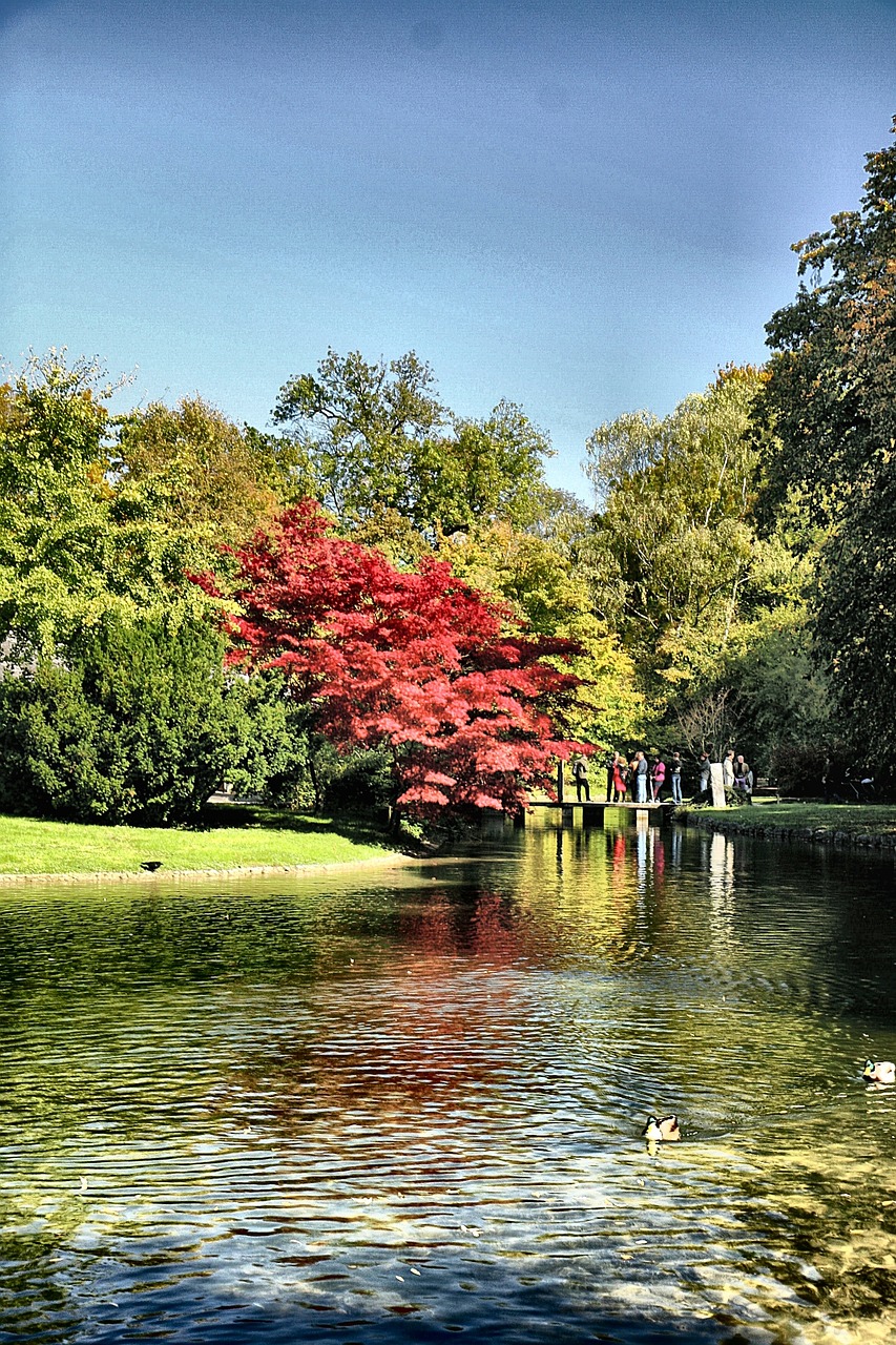 沈陽招標(biāo)動(dòng)態(tài)，推動(dòng)城市發(fā)展的重要力量