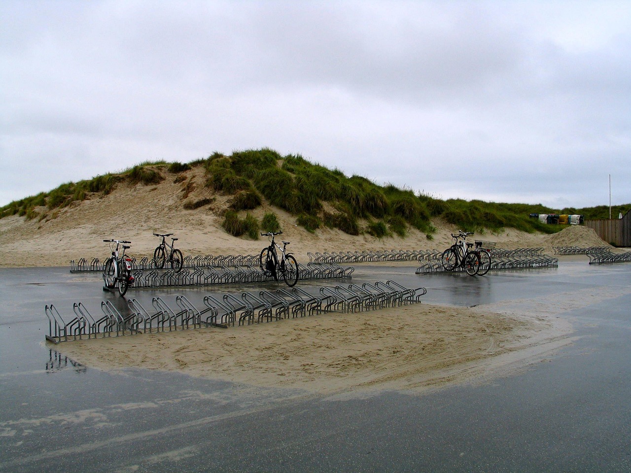 協(xié)警動(dòng)態(tài)資訊，城市安全的守護(hù)者守護(hù)者協(xié)警資訊動(dòng)態(tài)