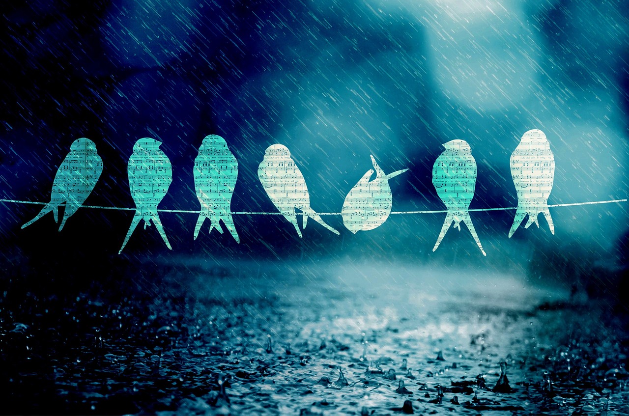 最新歌曲免費(fèi)試聽，音樂的海洋，心靈港灣暢享曲庫(kù)