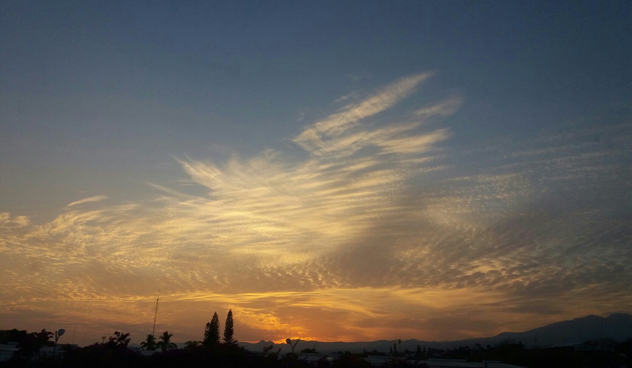 探索未知邊界，最新地平線之旅
