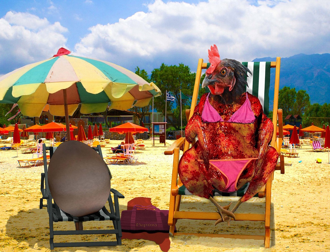 滿族明星，文化瑰寶與娛樂(lè)之光