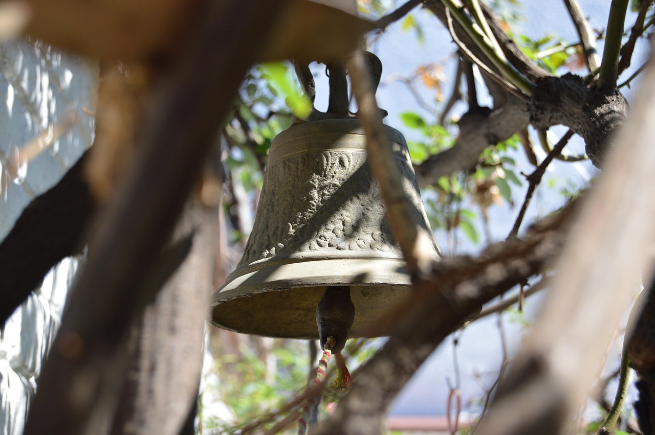 劍南春股票今日行情分析與展望，最新動(dòng)態(tài)及市場(chǎng)預(yù)測(cè)