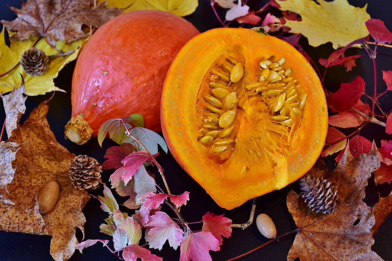 新黃豆上市時(shí)間與季節(jié)舞蹈揭秘，何時(shí)品嘗新鮮黃豆？