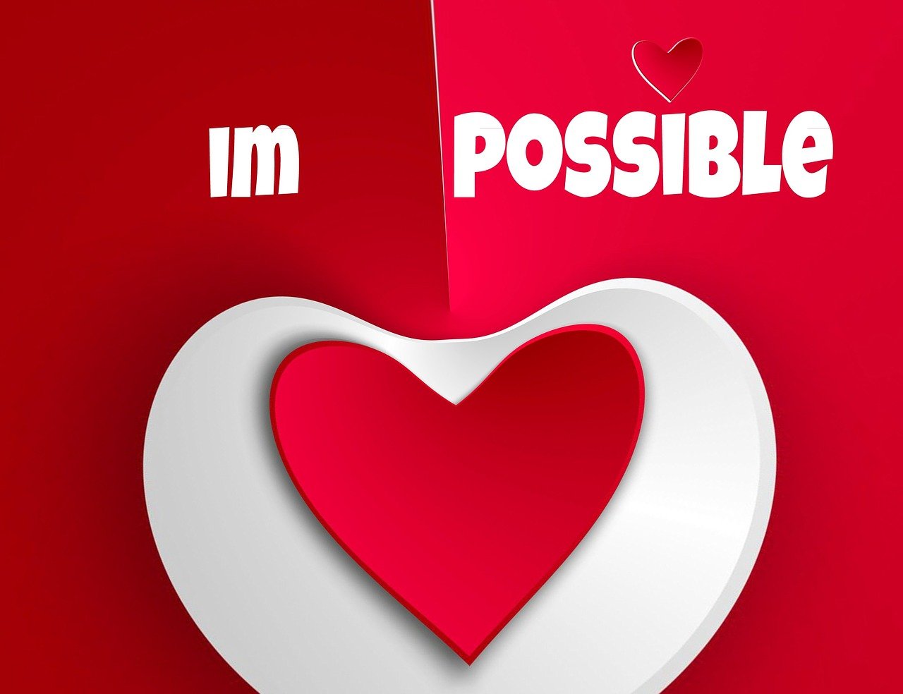 豬肉行情走勢(shì)圖，洞悉市場(chǎng)動(dòng)態(tài)，預(yù)測(cè)未來趨勢(shì)發(fā)展