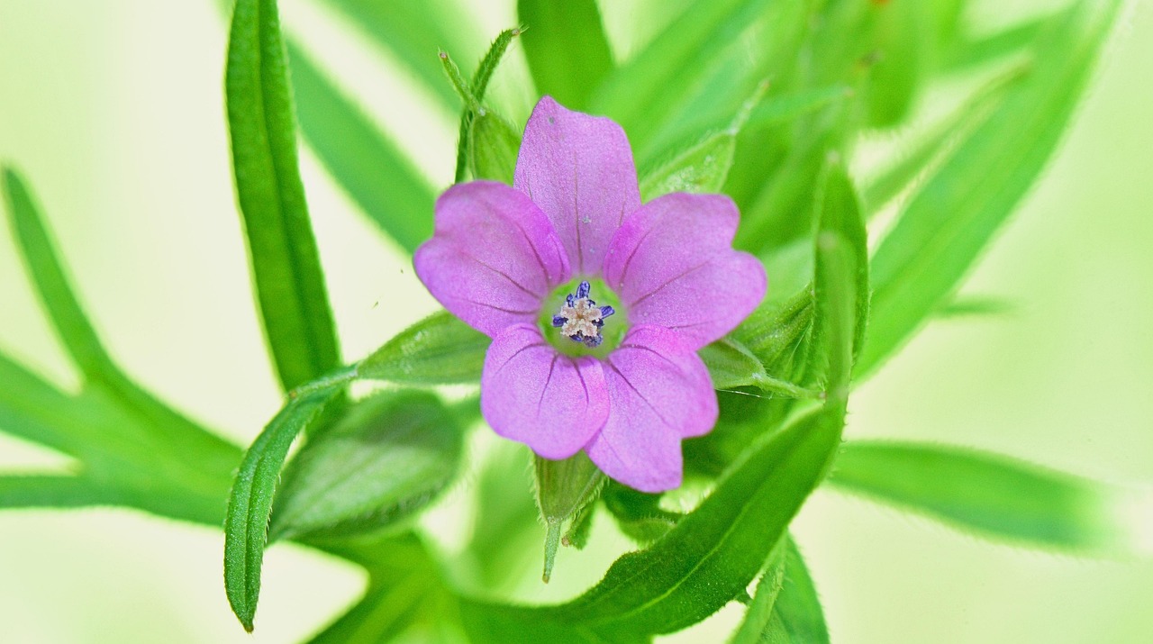 東津世紀(jì)城最新動(dòng)態(tài)與資訊更新