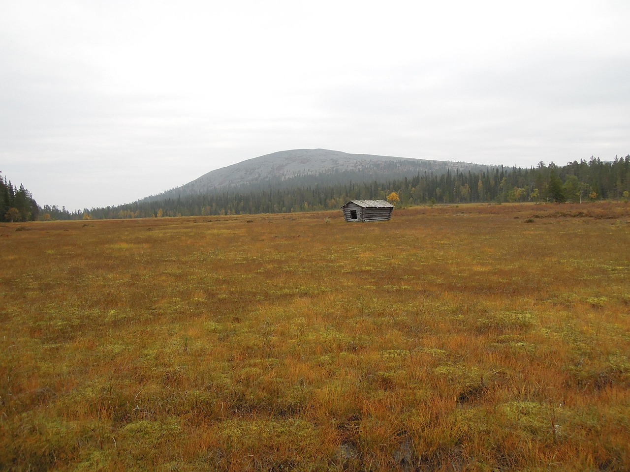 匯博上谷大觀最新報(bào)價(jià)揭秘，高端住宅市場新動態(tài)分析