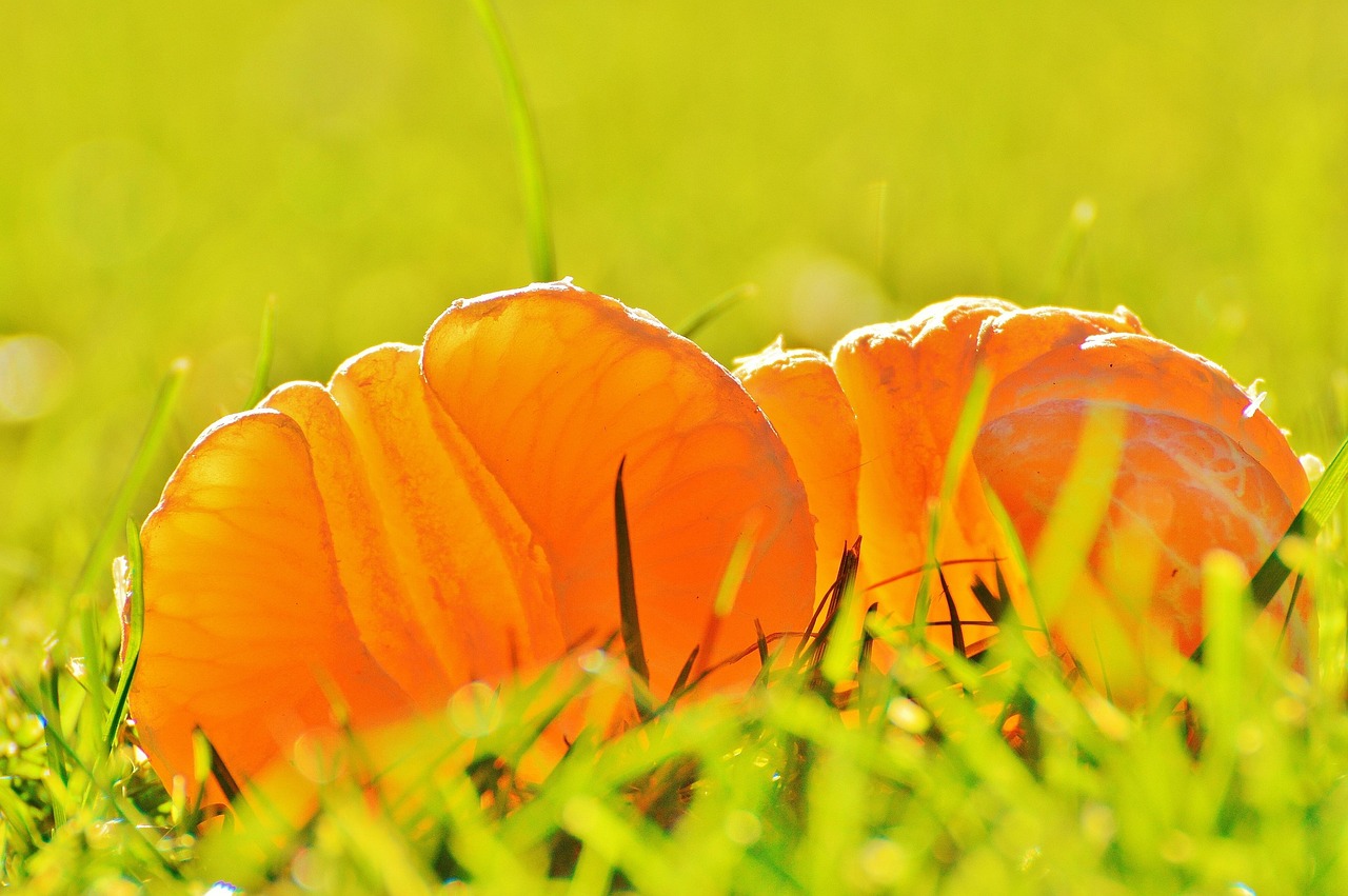 抽水坑資訊深度探索，前沿動(dòng)態(tài)與實(shí)時(shí)更新