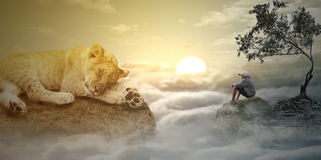 阿凡達(dá)2最新進(jìn)展深度探索與期待